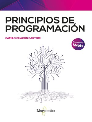 cover image of Principios de programación